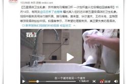 【8分钟教程】林芝公司是干什么的呢_哔哩哔哩